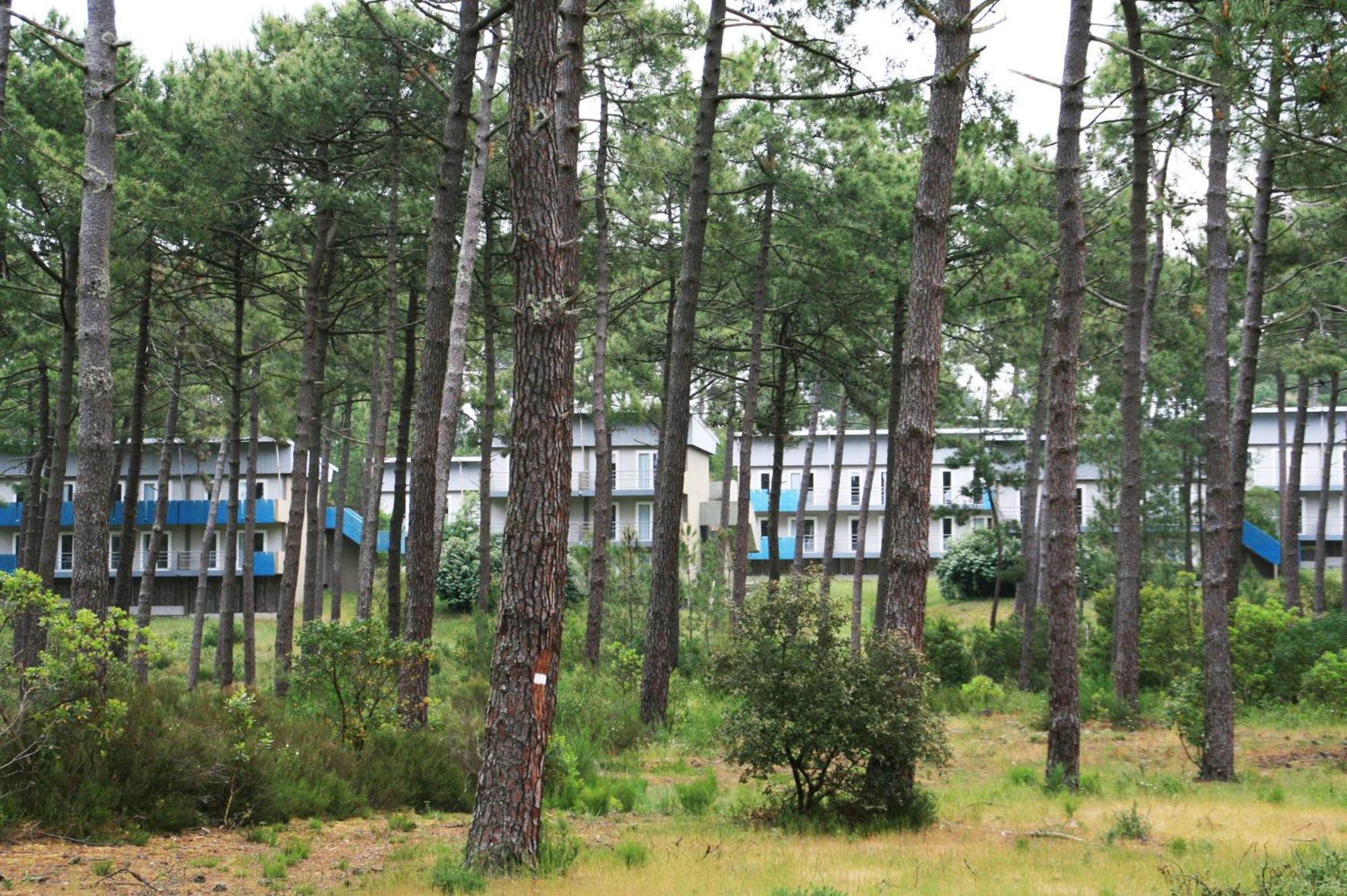 Village Vacances Les Dunes - Domaine De Bombannes 卡尔康 外观 照片